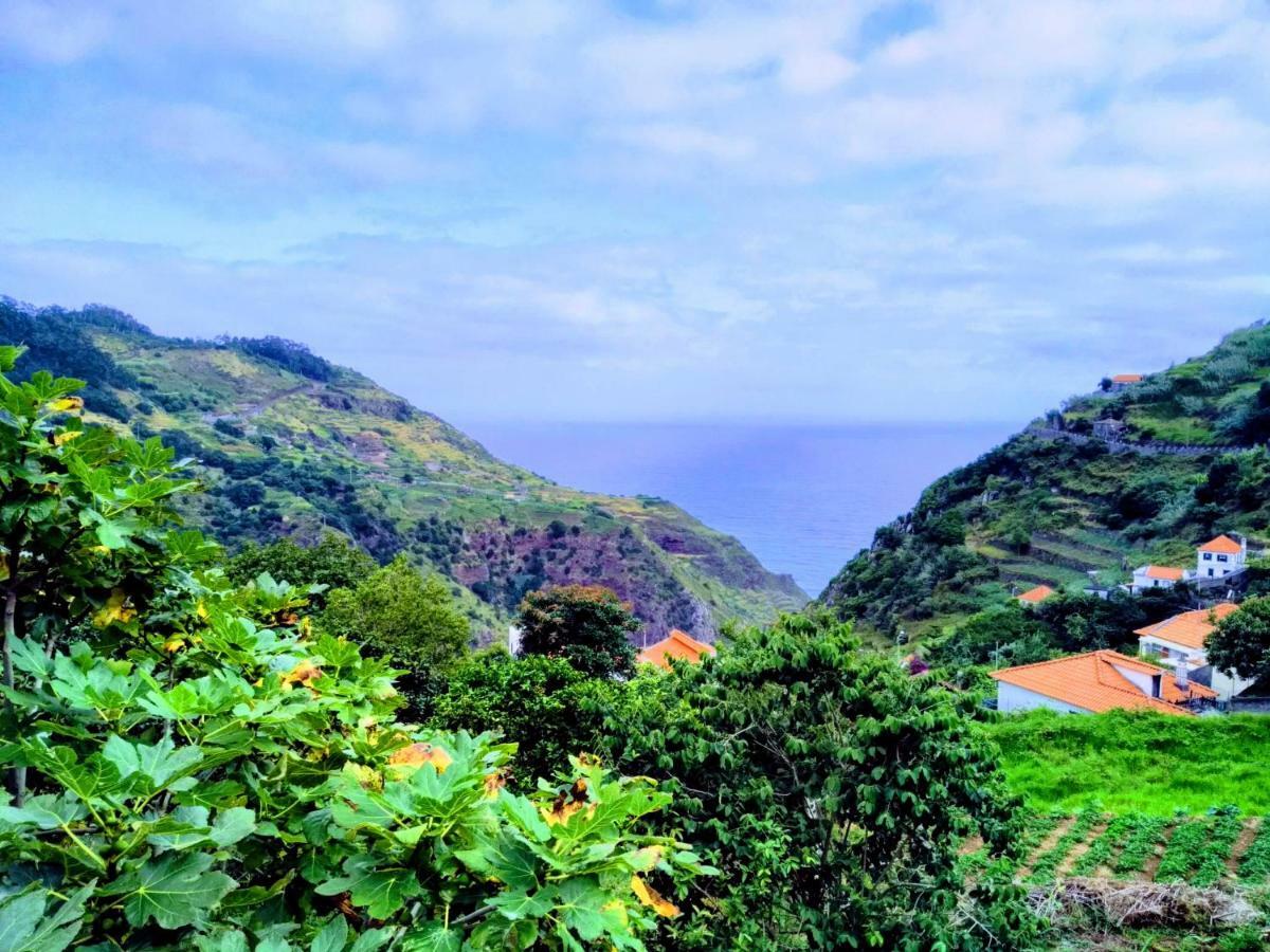 Quinta Do Serrado II Ribeira da Janela Exteriör bild